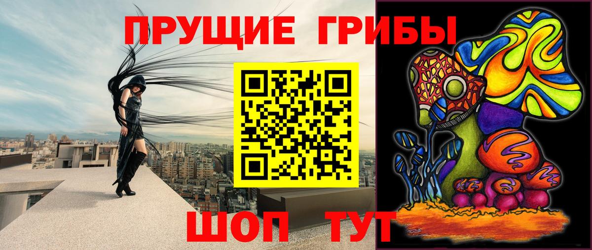Псилоцибиновые грибы мицелий  что такое   Вход с VPN  Соликамск  Псилоцибиновые грибы Magic Shrooms 
