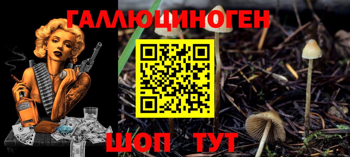 Галлюциногенные грибы мицелий Соликамск